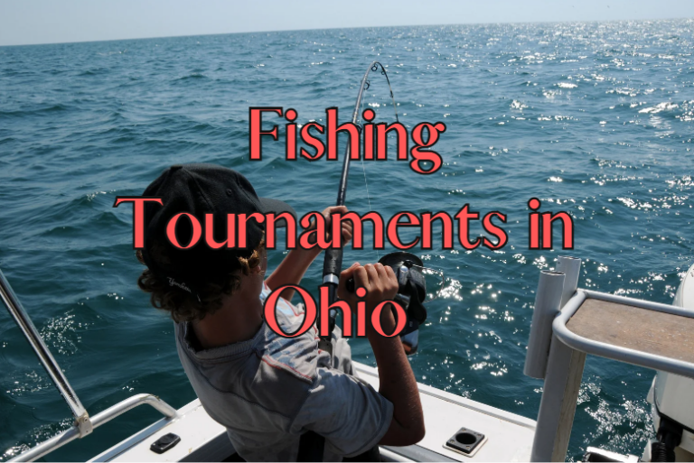 Fishing Tournaments in Ohio Ohio Lakefront Living